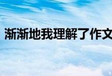 渐渐地我理解了作文600字（渐渐地我理解）