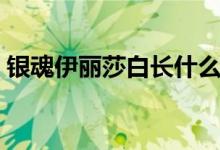 银魂伊丽莎白长什么样（伊丽莎白银魂头像）