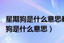 星期狗是什么意思教你如何分辨星期狗（星期狗是什么意思）