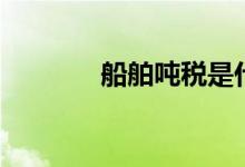 船舶吨税是什么（船舶吨税）