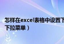 怎样在excel表格中设置下拉选项（怎样在excel表格中设置下拉菜单）