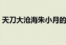 天刀大沧海朱小月的坐标（天刀大沧海图鉴）