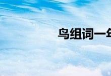 鸟组词一年级（鸟组词）