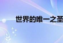 世界的唯一之圣诞篇（世界的唯一）
