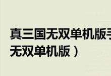 真三国无双单机版手游神器怎么洗练（真三国无双单机版）