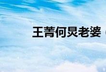 王菁何炅老婆（王菁何炅的孩子）