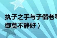 执子之手与子偕老琴瑟在御莫不静好（琴瑟在御莫不静好）