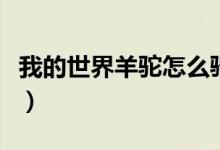 我的世界羊驼怎么骑走（我的世界羊驼怎么骑）