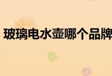 玻璃电水壶哪个品牌好（电水壶哪个品牌好）
