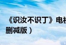 《识汝不识丁》电视剧（识汝不识丁电视剧未删减版）