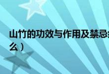 山竹的功效与作用及禁忌症（山竹的功效与作用及禁忌是什么）
