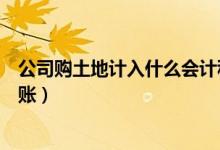 公司购土地计入什么会计科目（公司购入土地使用权怎么做账）