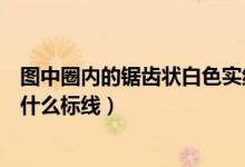 图中圈内的锯齿状白色实线是什么标线（锯齿状白色实线是什么标线）