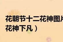 花朝节十二花神图片（花朝节是百花诞辰还是花神下凡）