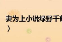妻为上小说绿野千鹤下载（妻为上绿野千鹤肉）
