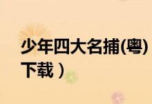 少年四大名捕(粤) 下载（少年四大神捕粤语下载）