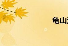 龟山汉墓简介