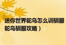 迷你世界鸵鸟怎么训驯服（迷你世界鸵鸟怎么驯服 迷你世界鸵鸟驯服攻略）
