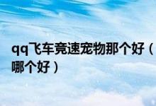 qq飞车竞速宠物那个好（QQ飞车竞速宠物排行榜 竞速宠物哪个好）