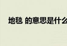地毯 的意思是什么（地毯的意思是什么）