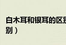 白木耳和银耳的区别图片（白木耳和银耳的区别）