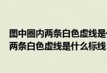图中圈内两条白色虚线是什么标线小型车转弯线（图中圈内两条白色虚线是什么标线）