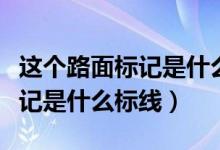 这个路面标记是什么标线禁驶区（这个路面标记是什么标线）
