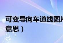 可变导向车道线图片（可变导向车道线是什么意思）