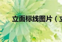 立面标线图片（立面标记是什么意思）