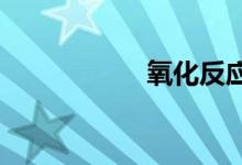 氧化反应化合价变化