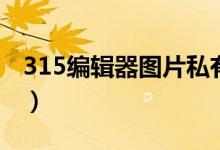 315编辑器图片私有化怎么处理（315编辑器）