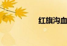 红旗沟血案（红旗沟）