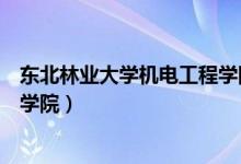 东北林业大学机电工程学院王心愉（东北林业大学机电工程学院）