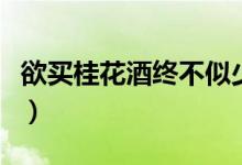 欲买桂花酒终不似少年游解析（桂花酒的做法）