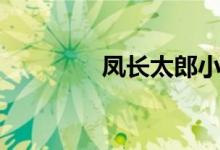 凤长太郎小说（凤长太郎）
