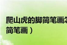 爬山虎的脚简笔画怎么画四年级（爬山虎的脚简笔画）