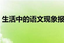 生活中的语文现象报告（生活中的语文现象）