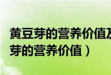 黄豆芽的营养价值及功效与作用及禁忌(黄豆芽的营养价值)