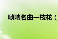 唢呐名曲一枝花(唢呐名曲一枝花简谱)