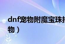 dnf宠物附魔宝珠拍卖叫啥（dnf倪裳仙子宠物）