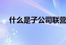 什么是子公司联营公司（什么是子公司）