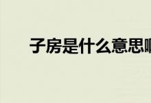 子房是什么意思啊（子房是什么意思）