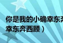 你是我的小确幸东奔西顾小说（你是我的小确幸东奔西顾）
