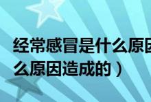 经常感冒是什么原因造成的呢（经常感冒是什么原因造成的）