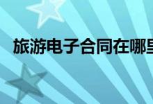 旅游电子合同在哪里查询（旅游电子合同）