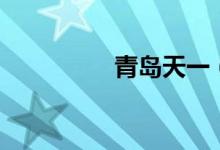 青岛天一（青岛天眼查）