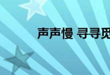 声声慢 寻寻觅觅(声声慢主旨)