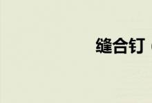缝合钉（缝合三世）
