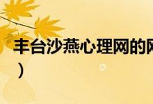 丰台沙燕心理网的网址（沙燕心理网官网网址）
