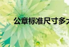 公章标准尺寸多大（公章的标准尺寸）